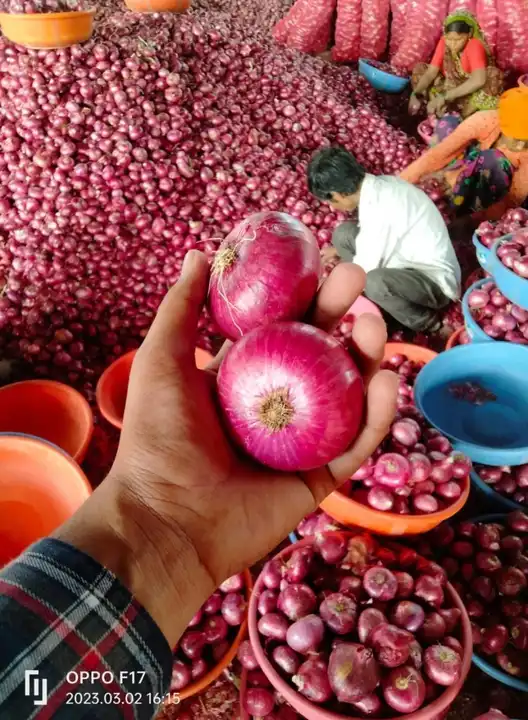 Onion uploaded by Aonemax global exim Pvt Ltd  on 4/6/2023