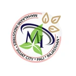 Business logo of Mahalaxmi industries