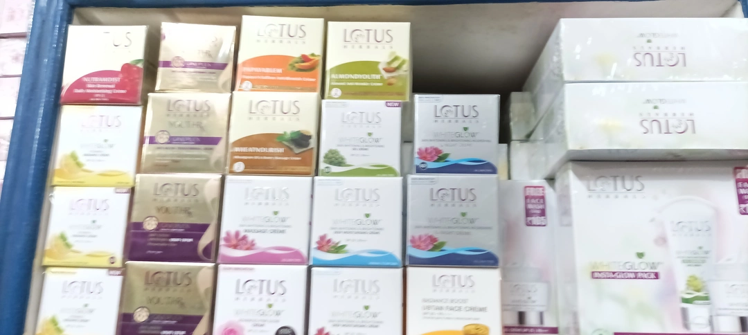 Lotus cream  uploaded by business on 4/10/2023