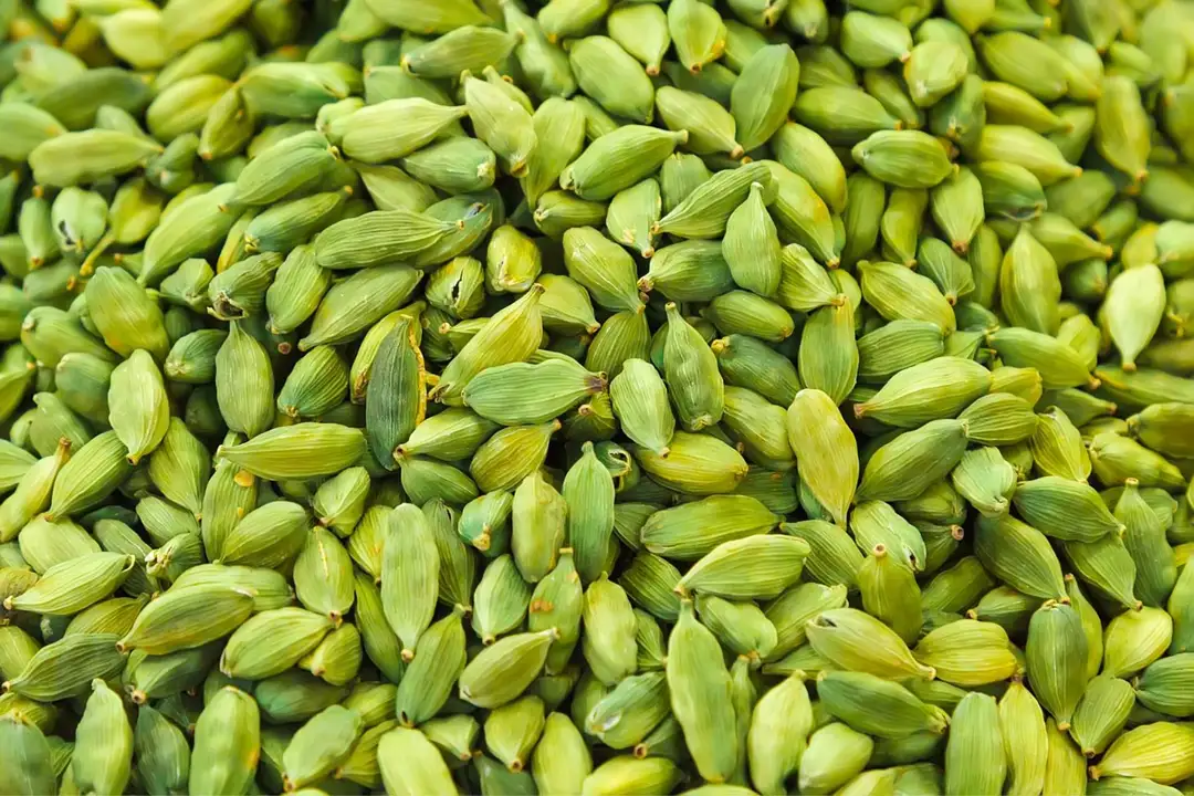 Indian green cardamom  uploaded by business on 4/11/2023