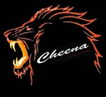 Business logo of Cheena cloth store