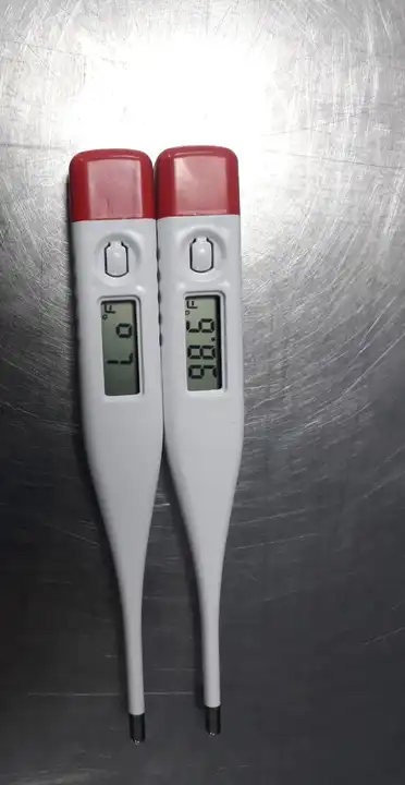 Digital Thermometer  uploaded by Health Care Hub on 5/30/2024