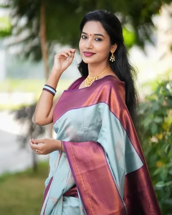 Rich Pallu With Zari Border. uploaded by DHANANJAY CREATION  on 4/12/2023
