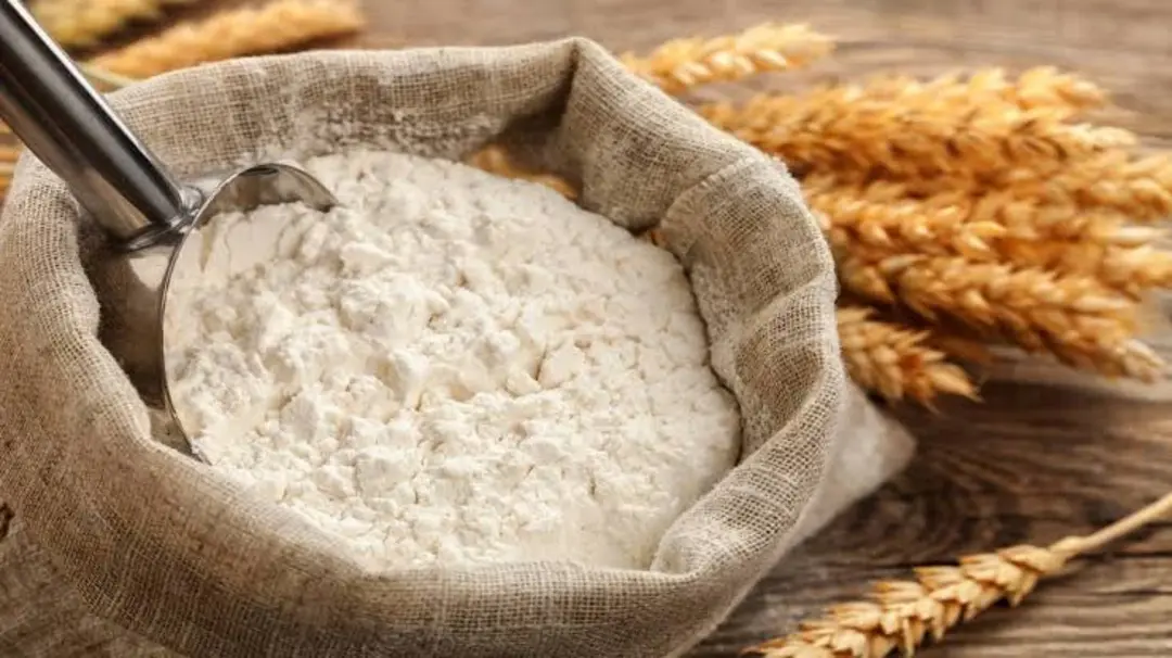 Wheat aata/flour uploaded by Shree krishna oil and floor mill on 6/4/2024