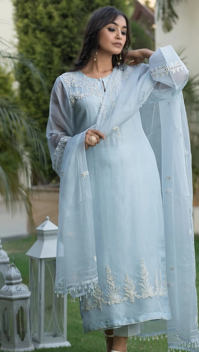 Organza chikankari suit uploaded by Sifar by neda on 5/28/2024