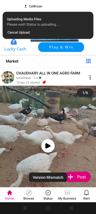 Rajhans  uploaded by Chaudhary all in one agro farm on 4/15/2023