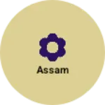 Business logo of Assam