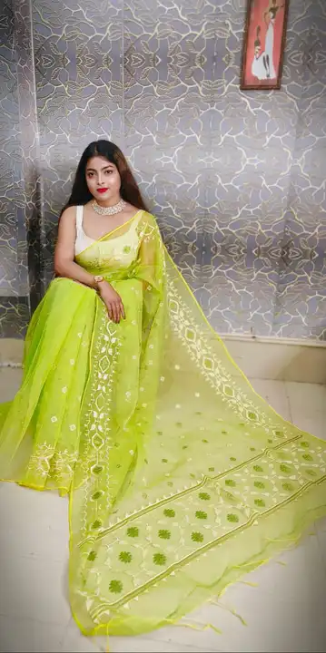 Resham embroidery Saree  uploaded by Debasree Boutique on 4/17/2023
