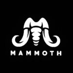 Business logo of Mammoth fashion