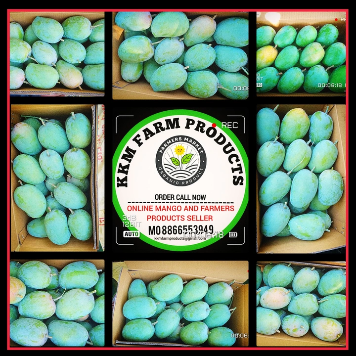 Fresh kesar mango  uploaded by KKM FARM PRODUCTS on 4/17/2023