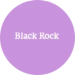 Business logo of Black rock