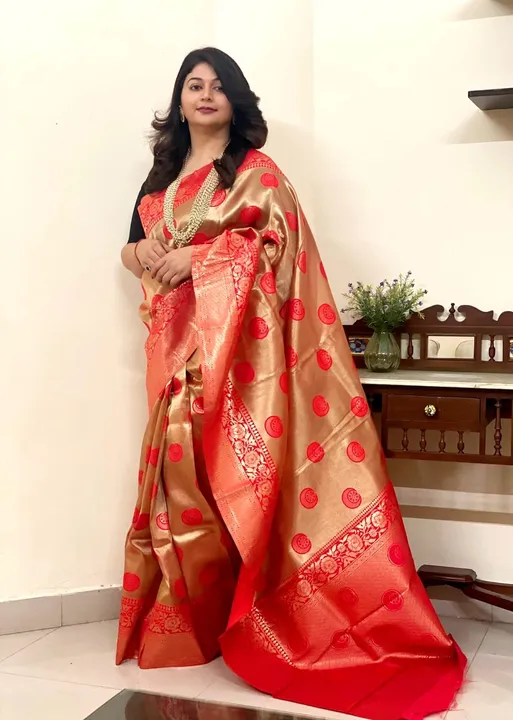 Orgenza saree  uploaded by Aaina creation on 4/18/2023