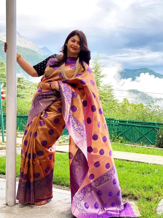 Orgenza saree  uploaded by Aaina creation on 4/18/2023