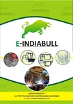Business logo of E-indiabull