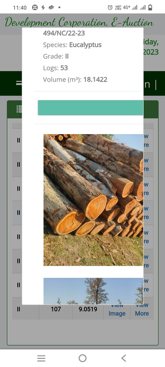 U k wood 🪵🪵🪵🪵🪵 uploaded by business on 4/19/2023