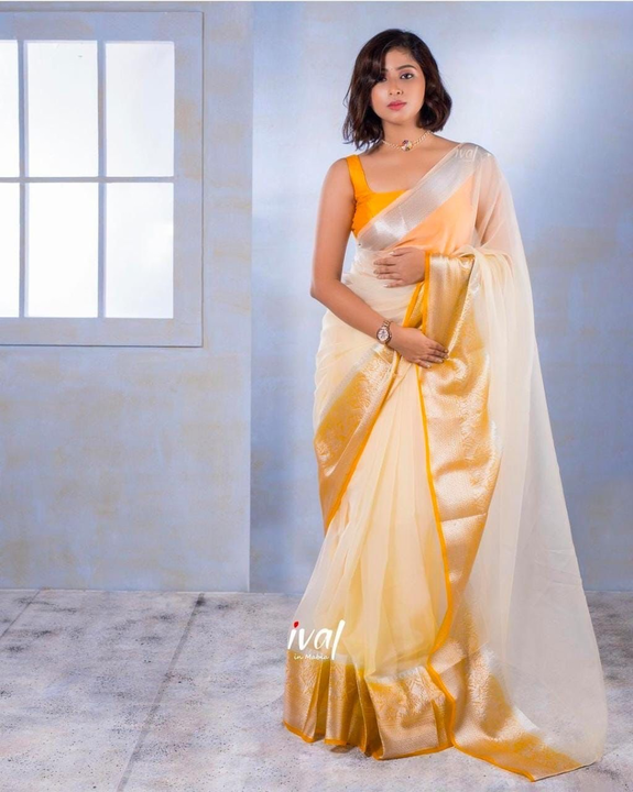 Naylon Orgenza jacquard Soft Saree With Pallu 
Work:- Pure zari weaving 
Blouse:- Banglori silk 
*Ra uploaded by Ayesha tax on 4/20/2023