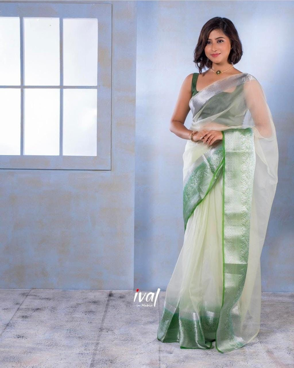 Naylon Orgenza jacquard Soft Saree With Pallu 
Work:- Pure zari weaving 
Blouse:- Banglori silk 
*Ra uploaded by Ayesha tax on 4/20/2023
