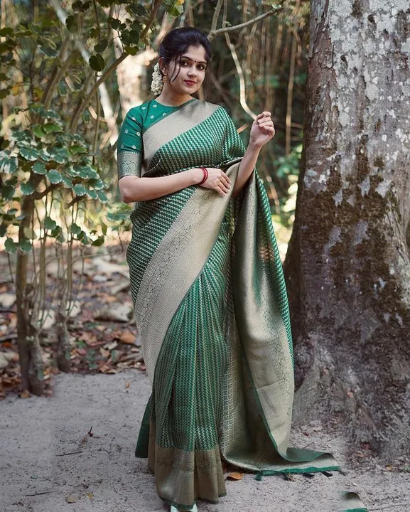Saree uploaded by SWAGHOSH on 4/21/2023