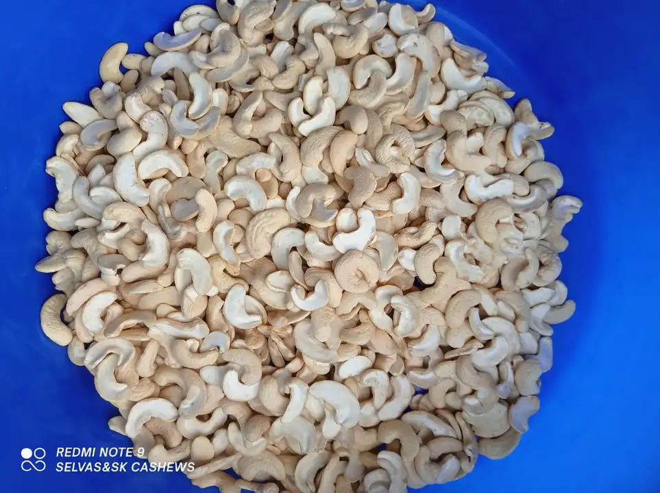 Cashew uploaded by Sri Sai Export on 4/21/2023
