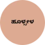 Business logo of ಹೊಳ್ಸೇಳ