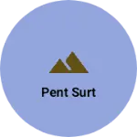 Business logo of Pent surt