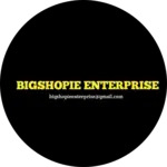 Business logo of Bigshopie enterprise 