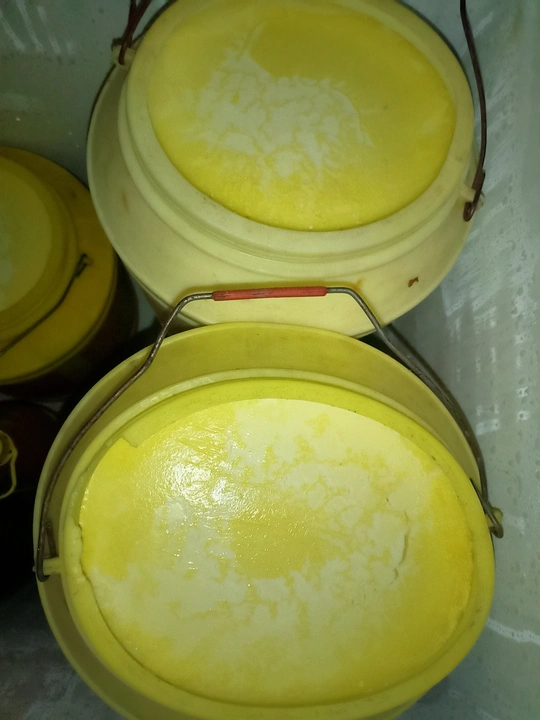 Curd  uploaded by Ghee supplyer on 4/24/2023