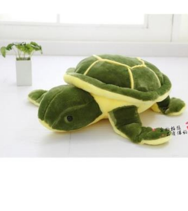 Tortoise  uploaded by Simply gifting on 4/24/2023
