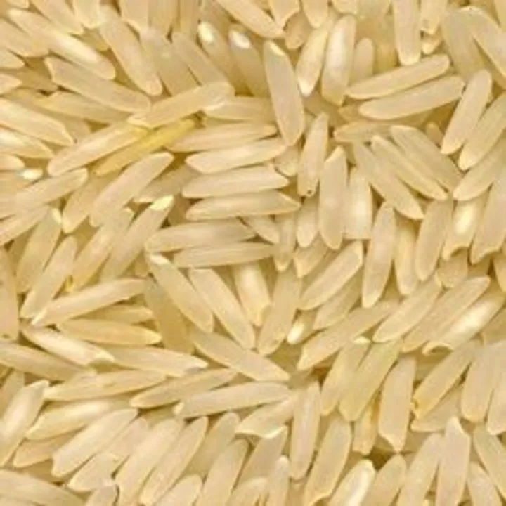 Mahaan eclairs basmati rice uploaded by Ansh dhawan on 4/24/2023