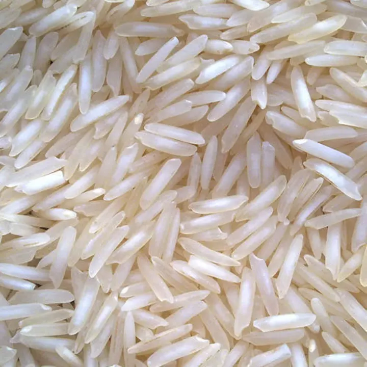Long grain premium basmati rice uploaded by Ansh dhawan on 4/24/2023