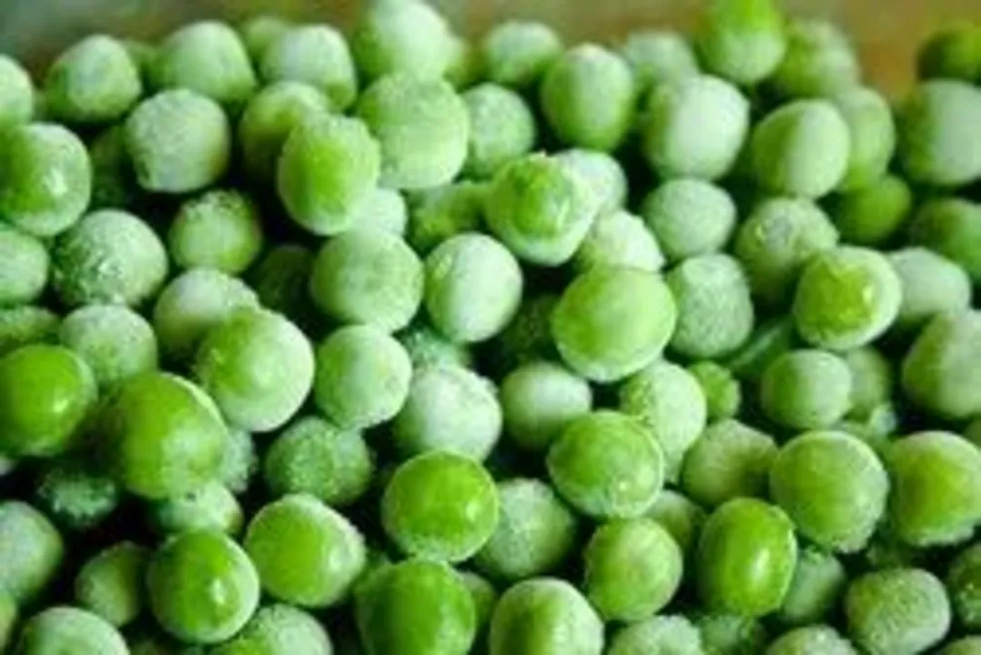 Frozen green peas uploaded by Ansh dhawan on 4/24/2023