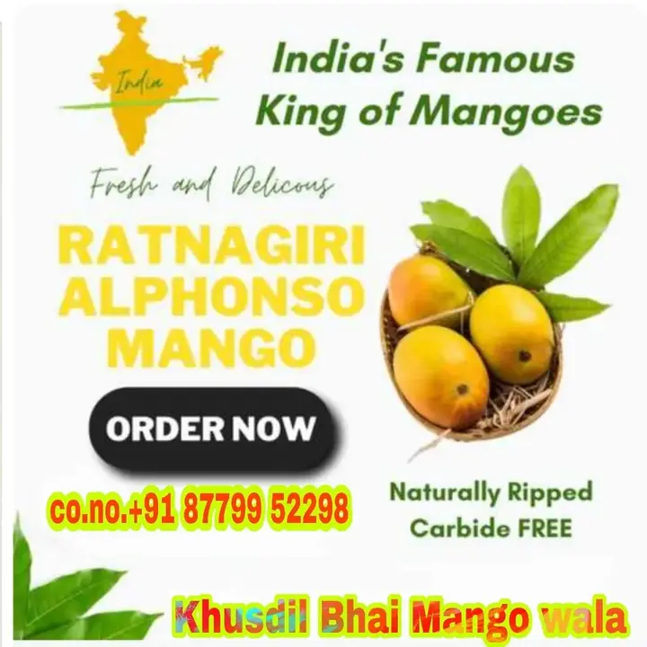 Alphonso mango ratnagiri devgadh uploaded by Alphonso mango🥭 on 4/25/2023
