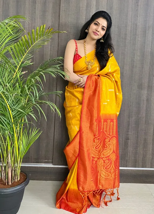 Saree uploaded by SWAGHOSH on 4/26/2023