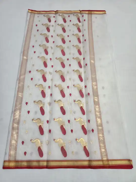 CHANDERI SILK traditional handwoven katan silk piping border saree  uploaded by WEAVER'S ORIGIN silk and Sarees on 4/26/2023