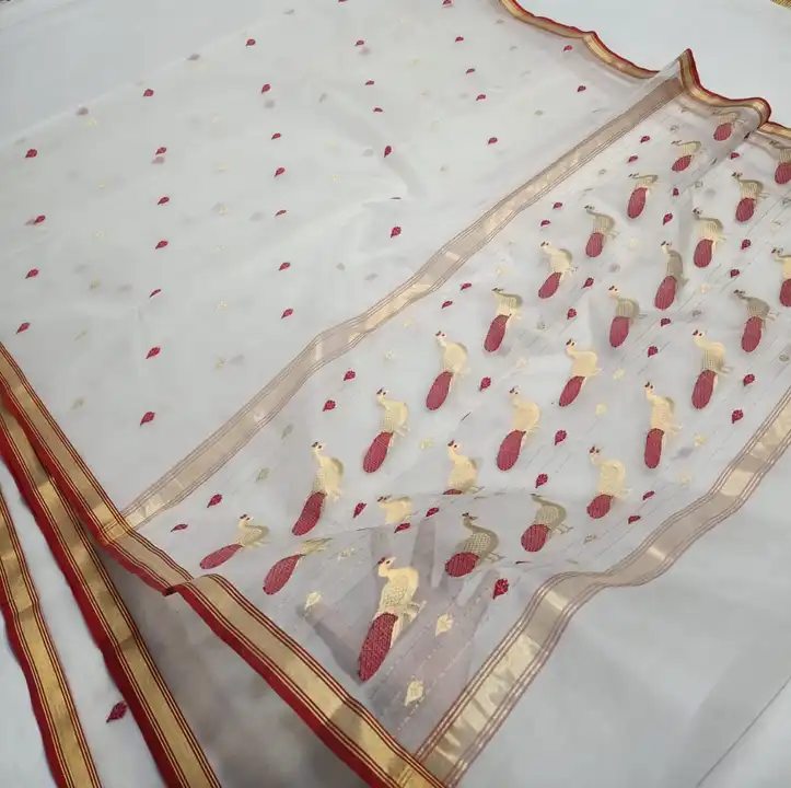 CHANDERI SILK traditional handwoven katan silk piping border saree  uploaded by WEAVER'S ORIGIN silk and Sarees on 4/26/2023
