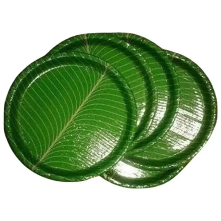 13 inch Green paper Thali uploaded by business on 4/28/2023