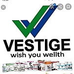 Business logo of Vestige Marketing Private Limited