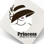 Business logo of Princess General & Telecom