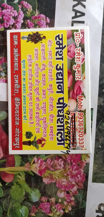 Visiting card store images of RAMESH UDDHYAN PAOUDHASALA