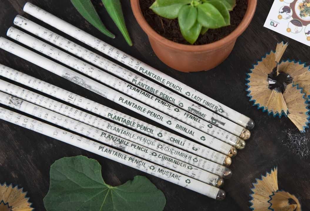Seeds pencil in news print uploaded by Rama eco  manufacturer on 3/8/2021