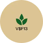 Business logo of V$F13