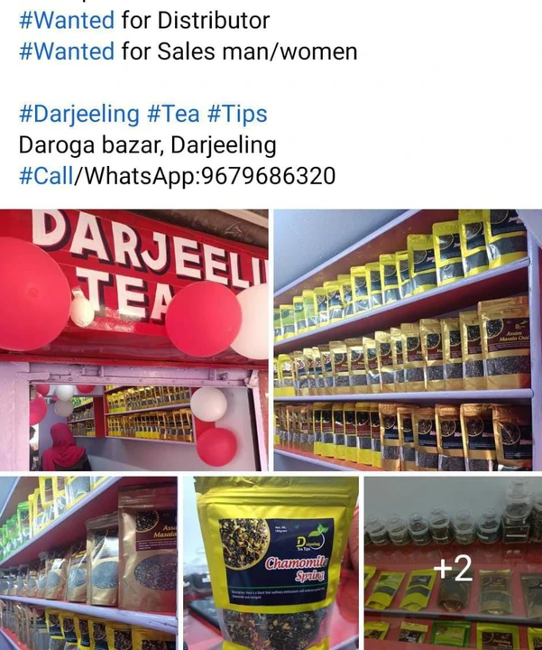 Shop Store Images of Darjeeling tea Tips