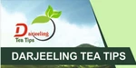 Business logo of Darjeeling tea Tips