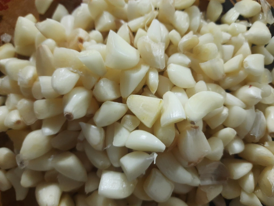 frozen peeled garlic per kg uploaded by INDIAN MEDICAL AGENCIES (HERBSAYURMED PHARMA.) on 5/4/2023