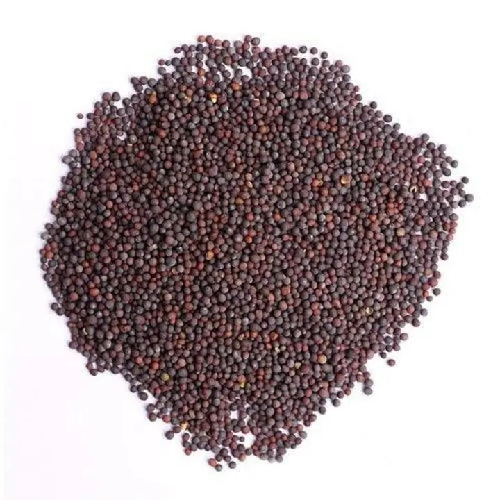 Mustard seed  uploaded by APR FOOD PRODUCTS on 5/4/2023