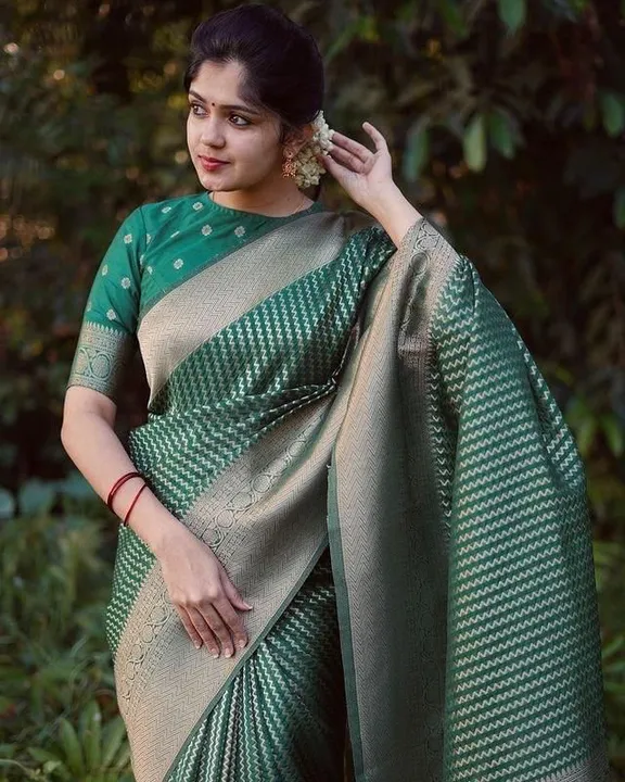 Butiful sarees uploaded by Villa outfit on 5/4/2023