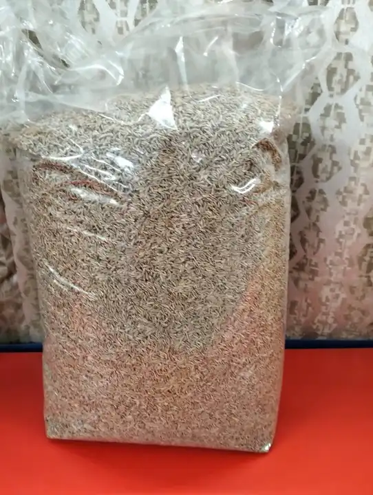 Sagas spices cumin seeds uploaded by Shri sagas connect private limited on 5/5/2023