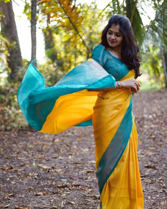 Saree uploaded by Taha fashion online store on 5/5/2023