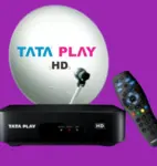 Business logo of TATA PLAY DTH