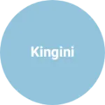 Business logo of Kingini